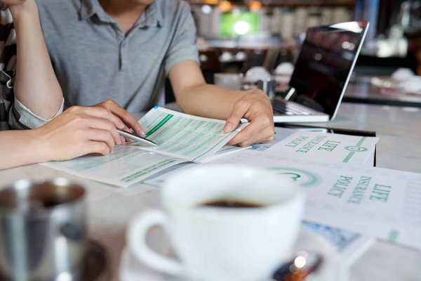 Pourquoi choisir entre la Loi Pinel et l'Assurance-vie?