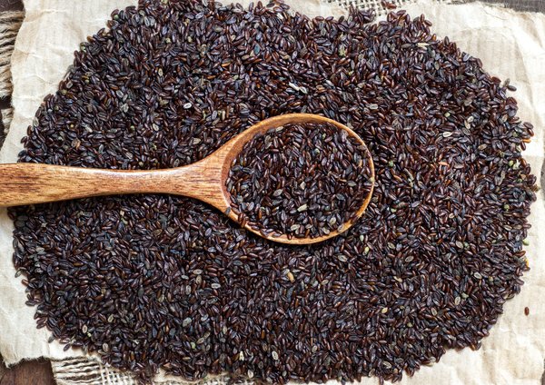 Psyllium : comment l'utiliser en cuisine ?