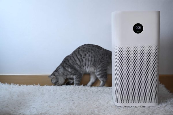 Comment purifier l'air circulant dans votre maison ?